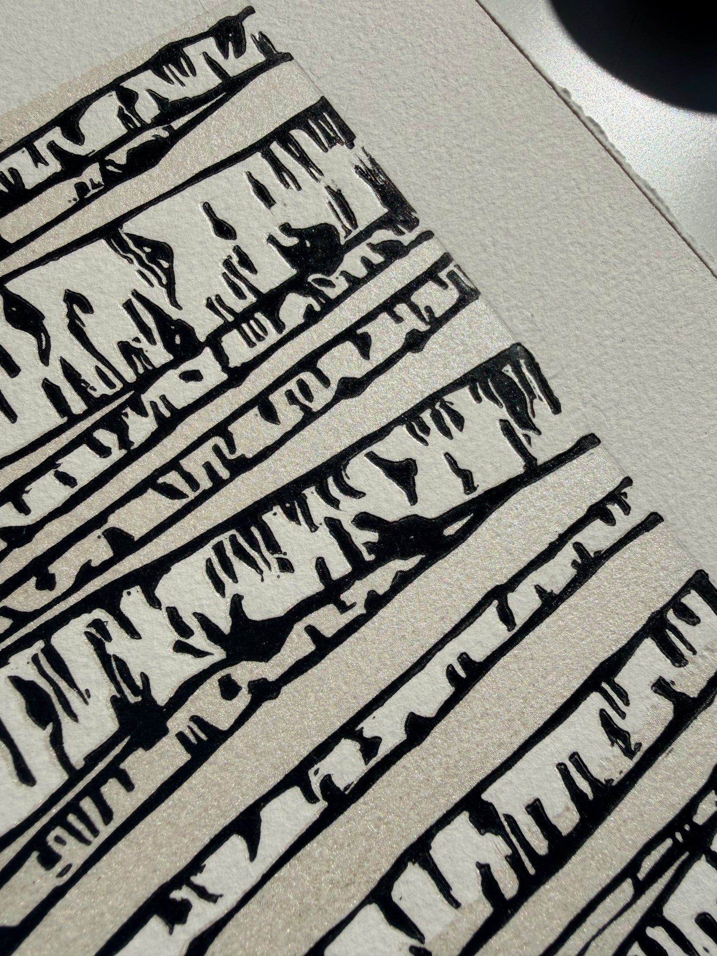Birch Trees