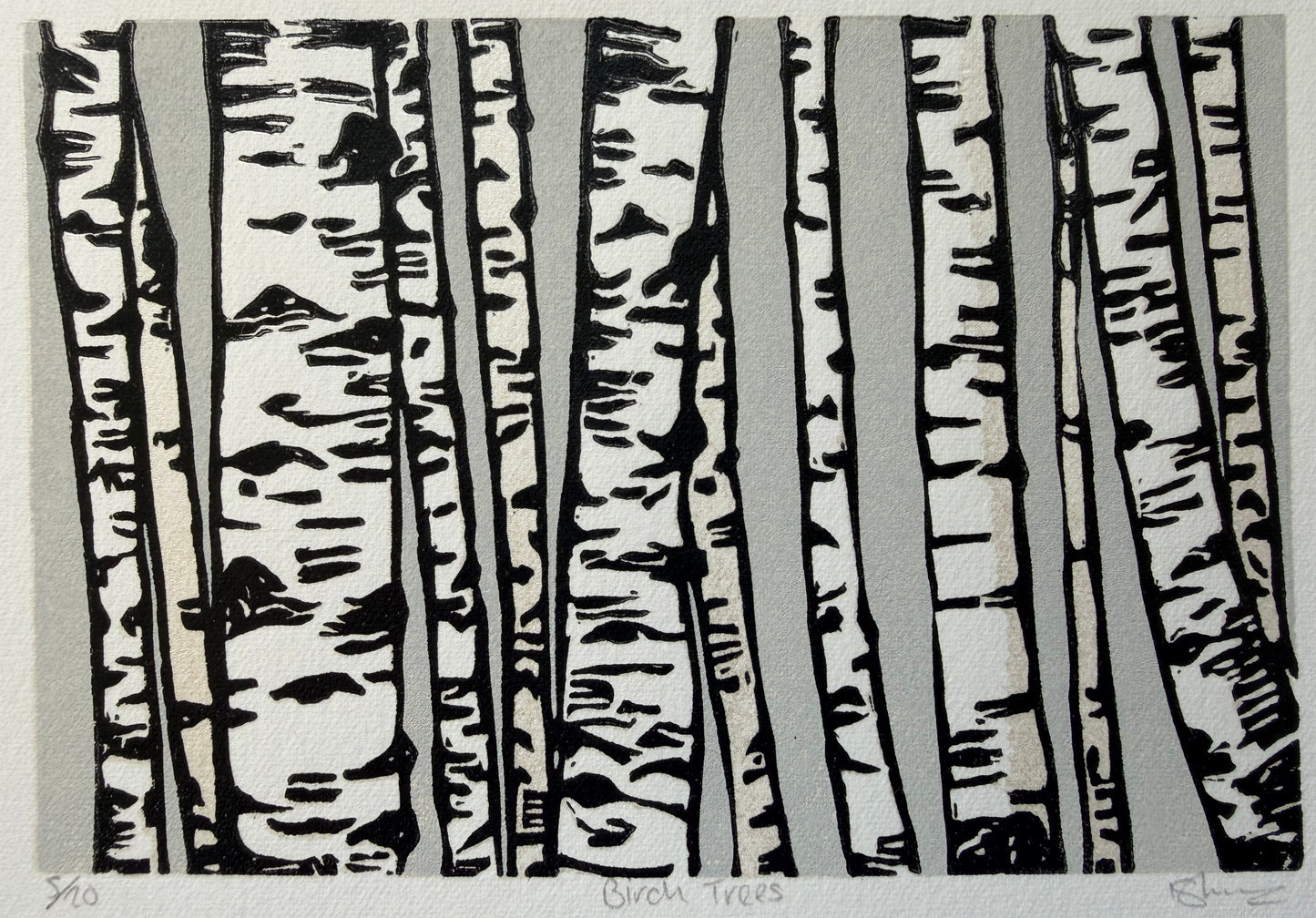 Birch Trees