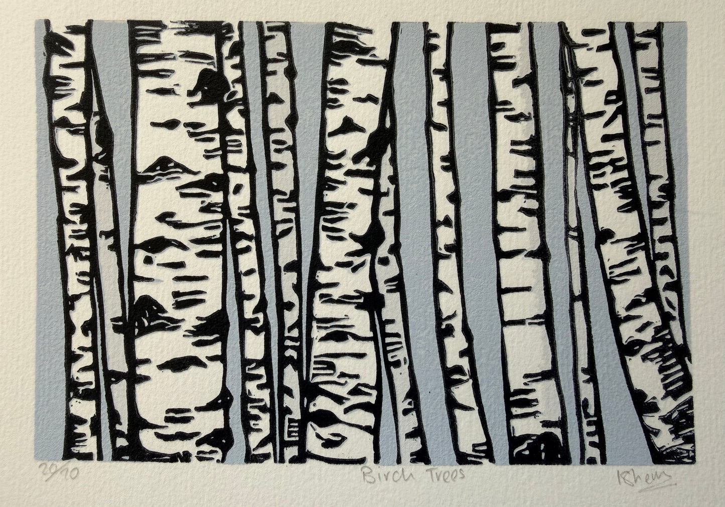 Birch Trees