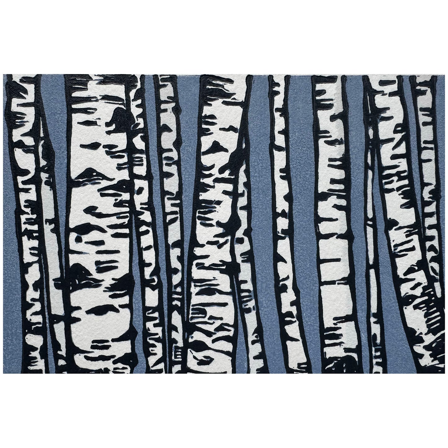 Birch Trees