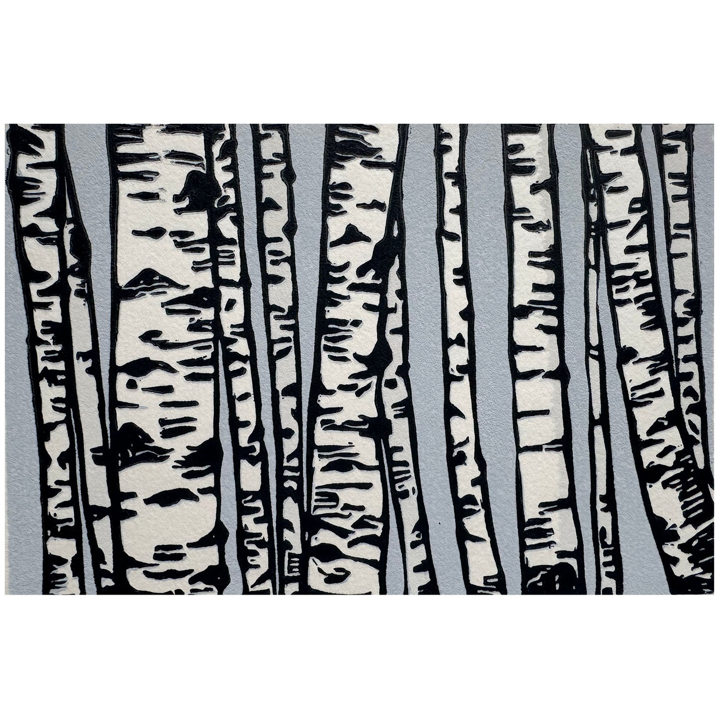 Birch Trees