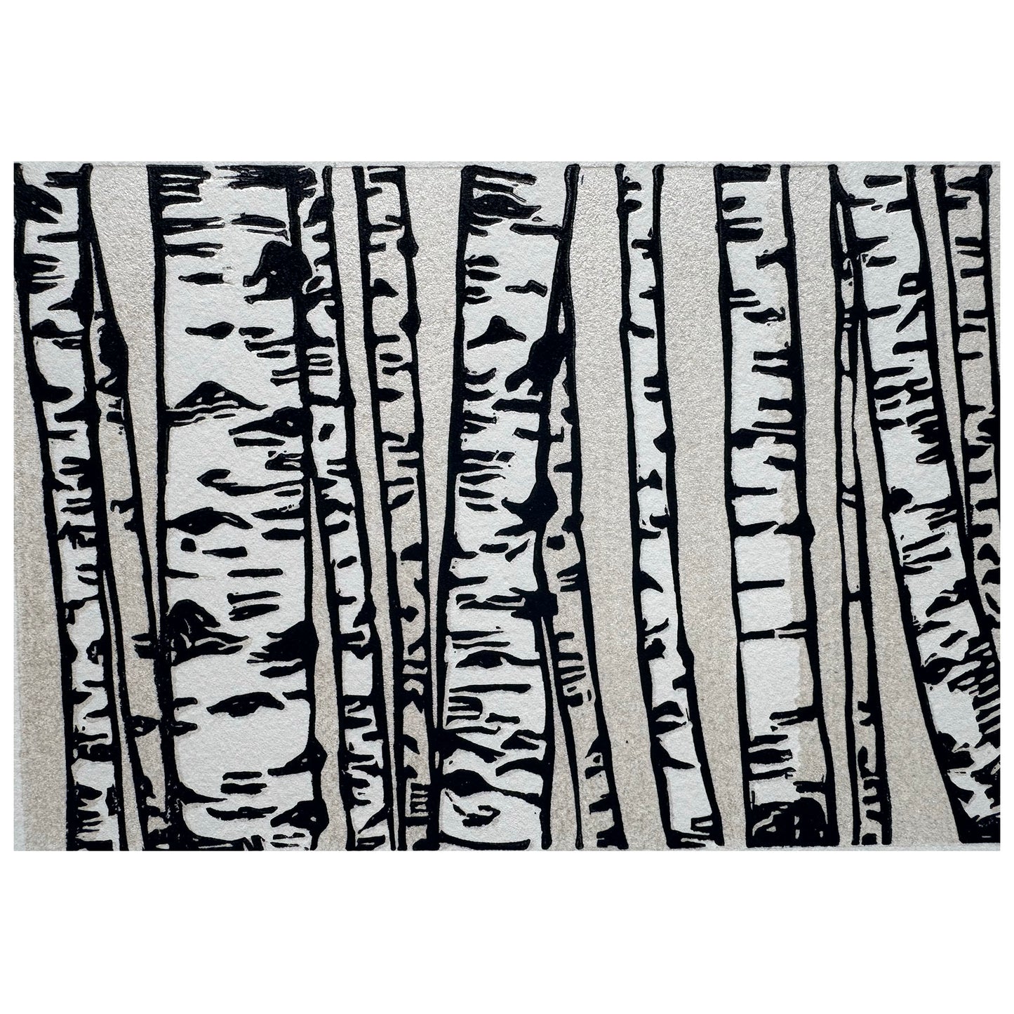 Birch Trees